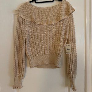 NWT Free People Crazy in Love Sweater